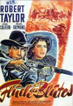 Devil's Doorway (1950,  )