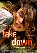 Take Down (2016,  )