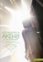 AKB48:   (2011,  )