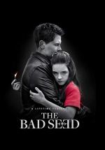 ������ ����� (2018, ������ ������)