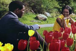 � ��� �� ����