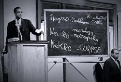 � ��� �� ����