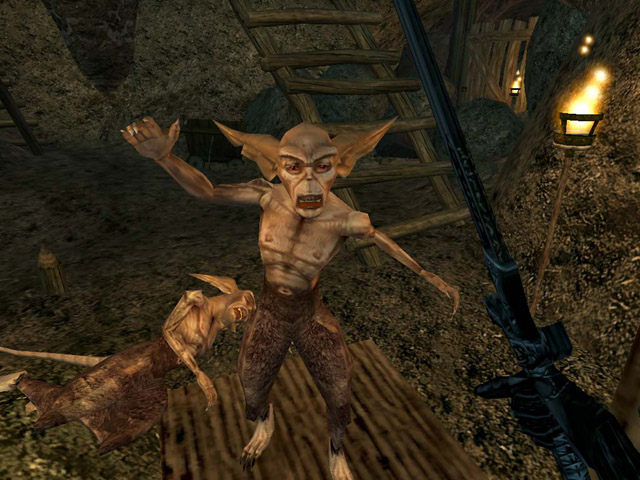    The Elder Scrolls III: Morrowind