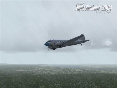    Flight Simulator 2004