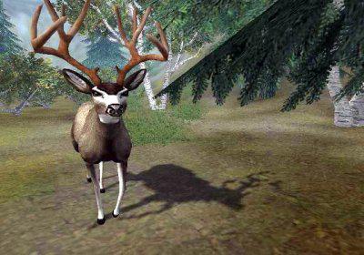    Cabela's Deer Hunt: 2004 Season
