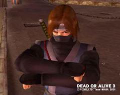    Dead or Alive 3
