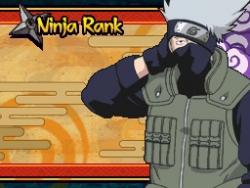    Naruto Shippuuden: Ninja Council 4