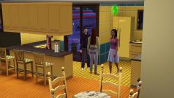    The Sims 3