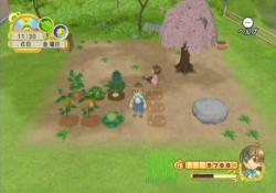    Harvest Moon: Tree of Tranquility