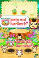    Hi Hamtaro! Little Hamsters Big Adventure