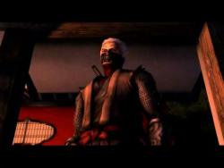    Tenchu 4: Shadow Assassins