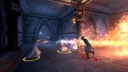    Dragon Age: Origins