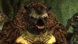    Dragon Age: Origins