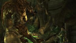    Dragon Age: Origins