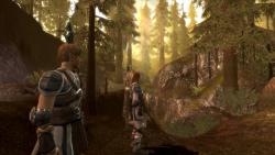   Dragon Age: Origins