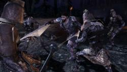    Dragon Age: Origins