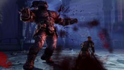   Dragon Age: Origins