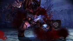    Dragon Age: Origins