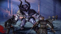    Dragon Age: Origins