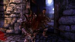    Dragon Age: Origins