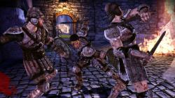    Dragon Age: Origins