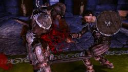    Dragon Age: Origins