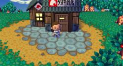    Animal Crossing: City Folk