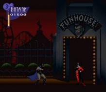    The Adventures of Batman & Robin