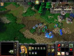   Warcraft III: Reign of Chaos