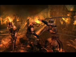   The Witcher