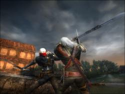    The Witcher