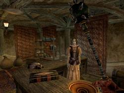    The Elder Scrolls III: Morrowind