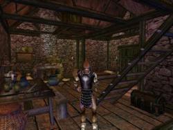    The Elder Scrolls III: Morrowind