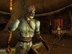    The Elder Scrolls III: Morrowind