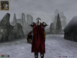    The Elder Scrolls III: Morrowind