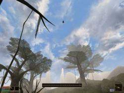   The Elder Scrolls III: Morrowind