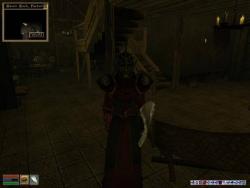    The Elder Scrolls III: Morrowind