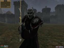    The Elder Scrolls III: Morrowind
