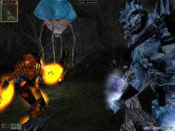    The Elder Scrolls III: Morrowind