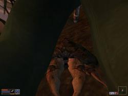    The Elder Scrolls III: Morrowind
