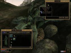    The Elder Scrolls III: Morrowind