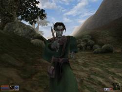    The Elder Scrolls III: Morrowind