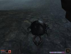    The Elder Scrolls III: Morrowind