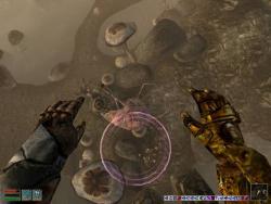    The Elder Scrolls III: Morrowind