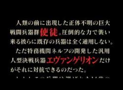    Neon Genesis Evangelion