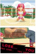    Animal Boxing