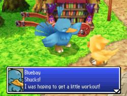   Final Fantasy Fables: Chocobo Tales