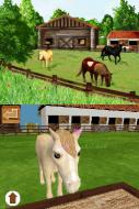    Discovery Kids: Pony Paradise