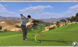    Tiger Woods PGA Tour Online