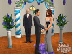    The Sims 2: Celebration Stuff